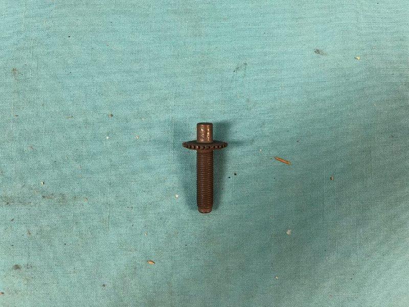 Drivers side brake adjustment screw
