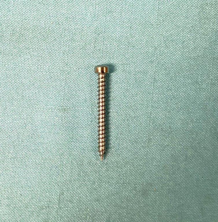 8 x 1-1/2"  Fillister head sheet metal screw - CHROME