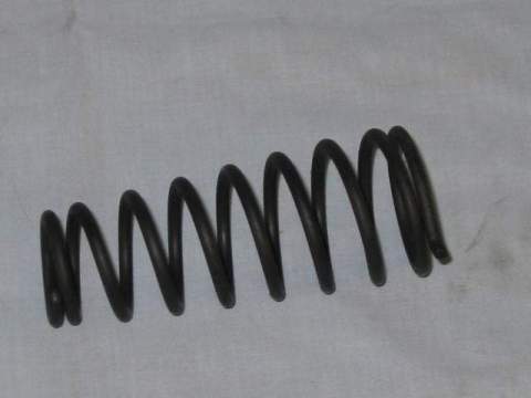 Hood spring.