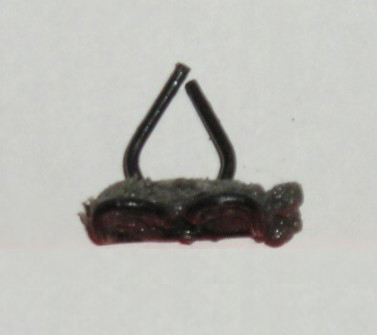 molding clip (bare clip with no pad) - see #GZ-88157 for one with pad.  9/16" wide by 3/4" in length