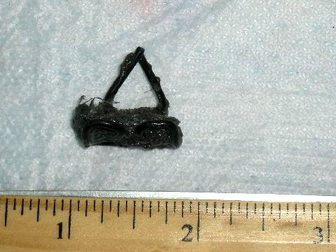 Wire molding clip  5/8" wide by 13/16" in length.  

One known application is for top of door mldg for 1967-69 Barracuda.