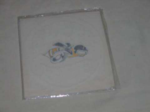 "SuperBee" passenger side Quarter Panel Decal - White