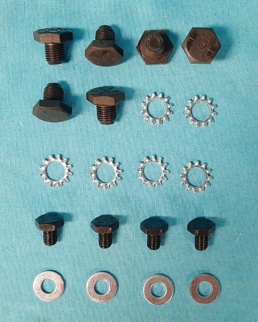 Flexplate bolt package.  Includes 4 converter bolts and 6 crankshaft bolts for the 6-bolt flexplate (all V8 except Hemi).  does one car...